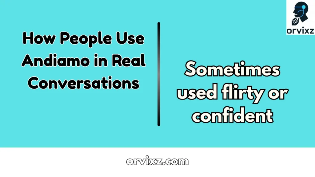 How People Use Andiamo in Real Conversations