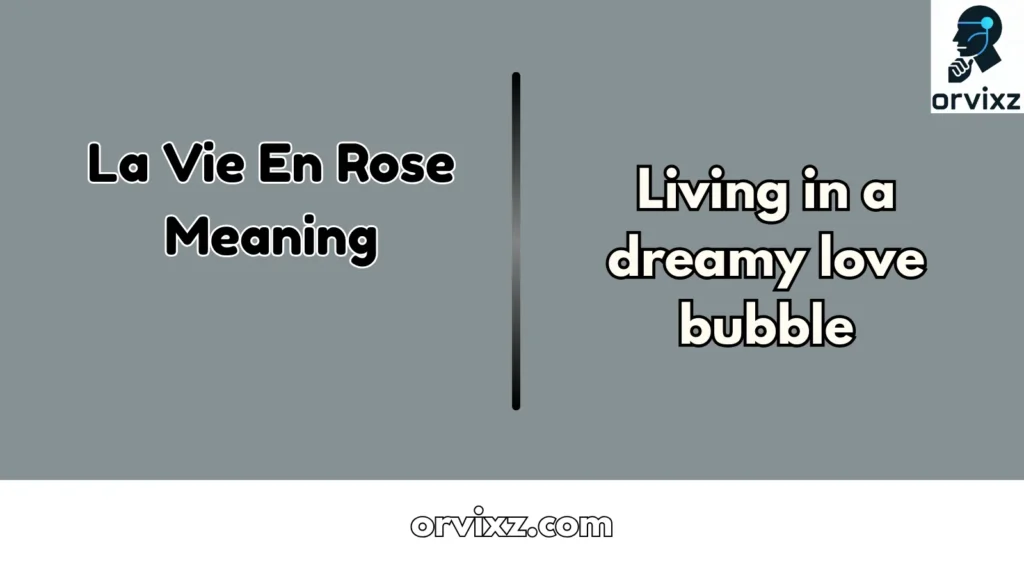 La Vie En Rose Meaning