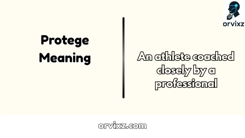 Protege Meaning