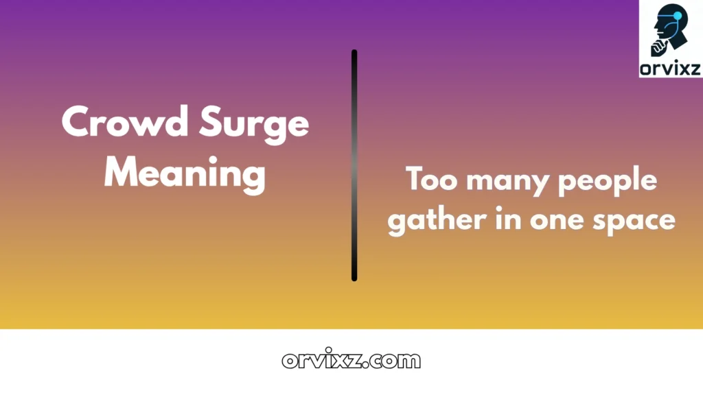 Crowd Surge Meaning