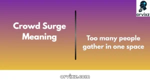 Crowd Surge Meaning