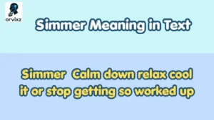 Simmer Meaning in Text